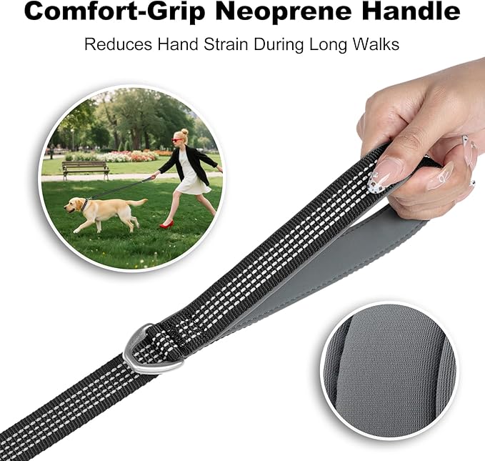 Plutus Pet Heavy Duty Dog Leash with Lockable Aluminum Carabiner, 4/6 Feet Long, Double-Sided Reflective Nylon, Padded Handle, for Puppy, Small, Medium and Large Dogs (Black, 4/5" x 4')