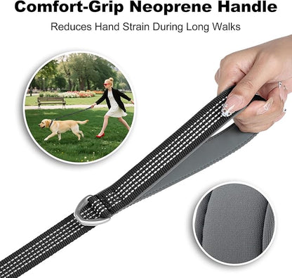 Plutus Pet Heavy Duty Dog Leash with Lockable Aluminum Carabiner, 4/6 Feet Long, Double-Sided Reflective Nylon, Padded Handle, for Puppy, Small, Medium and Large Dogs (Black, 1" x 6')