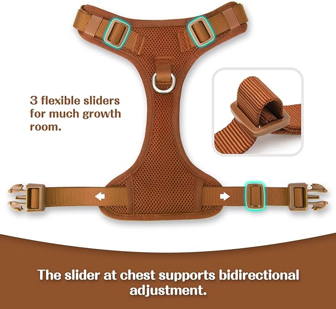 No Pull Dog Harness for Small Medium Large Dogs - Adjustable 2 Layer Mesh Dog Vest with Dual Clip, Escape Proof, Quick Release, Lightweight Breathable Mesh for Walking Hiking (Carmel Brown,XL)