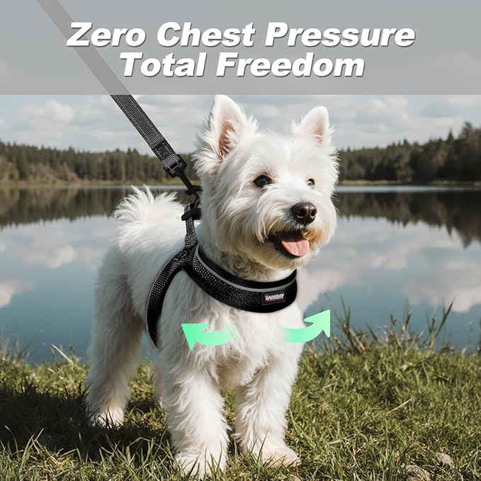 Dog Harness and Leash Set,Step in Small Sized Dog Harness,Soft Mesh,No-Chock,Reflective Adjustable,Secure with Hook & Loop Fastener,Puppy Vest for Small,Medium Dogs(Black,M)