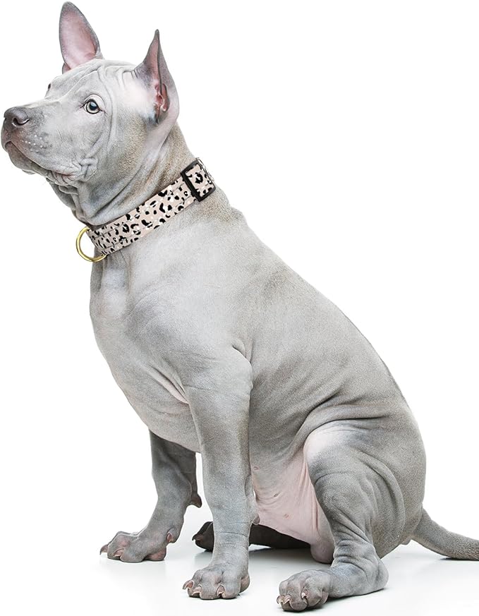 Reflective Dog Collar for Medium Dogs, Cute Leopard Style Adjustable Heavy-Duty Nylon Puppy Collar for Boy and Girl Female, Soft Pet Accessories with Quick Release Buckle, Beige