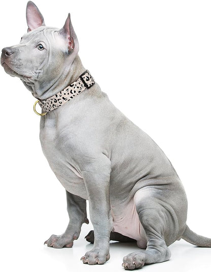Reflective Dog Collar for Medium Dogs, Cute Leopard Style Adjustable Heavy-Duty Nylon Puppy Collar for Boy and Girl Female, Soft Pet Accessories with Quick Release Buckle, Beige