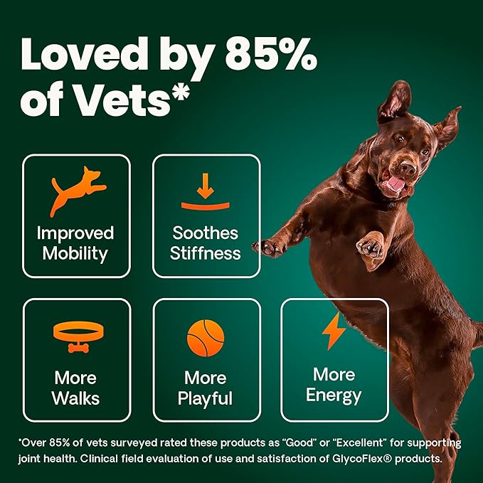 VetriScience HMB Healthy Muscle & Strength Supplement for Dogs, Mobility Support & Muscle Builder with Collagen, Calcium, Vitamin D & Curcumin, Powder, Pork, 8.47 oz - New Look