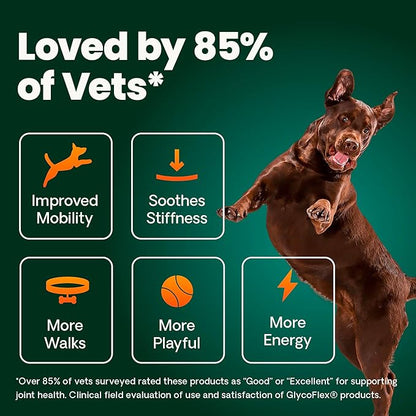VetriScience HMB Healthy Muscle & Strength Supplement for Dogs, Mobility Support & Muscle Builder with Collagen, Calcium, Vitamin D & Curcumin, Powder, Pork, 8.47 oz - New Look