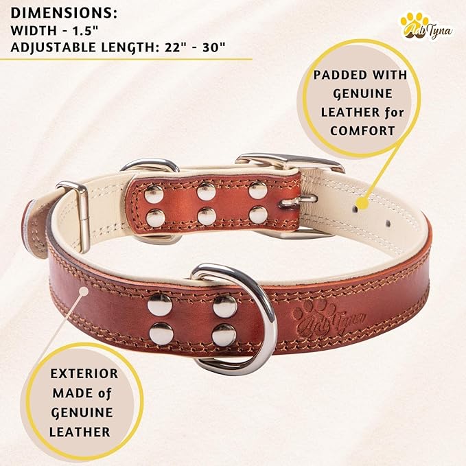 ADITYNA Heavy-Duty Big Leather Dog Collar for Extra-Large Dogs - Soft Padded for Comfort - XL Dog Collar for Walking, Training, and Hiking