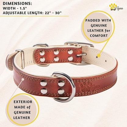 ADITYNA Heavy-Duty Big Leather Dog Collar for Extra-Large Dogs - Soft Padded for Comfort - XL Dog Collar for Walking, Training, and Hiking
