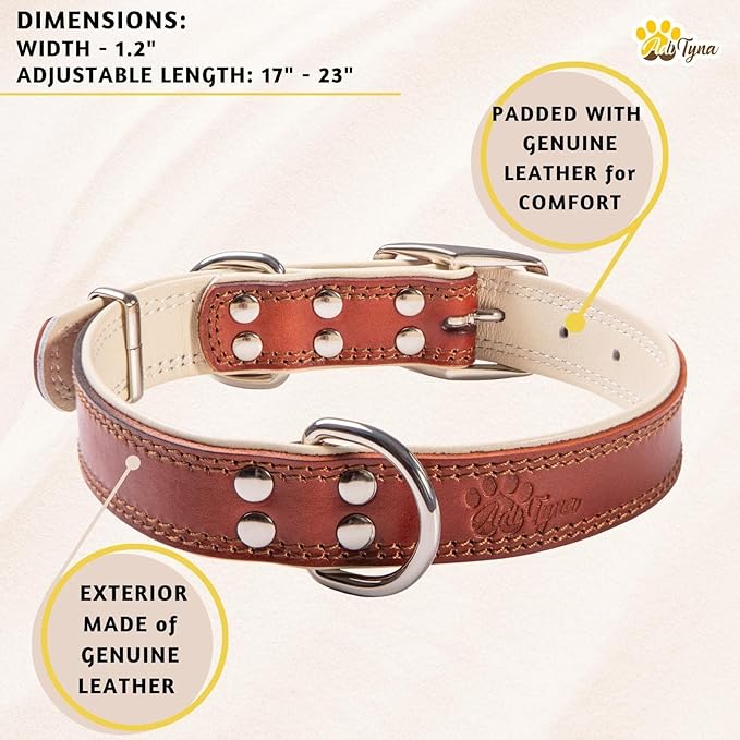 ADITYNA Heavy-Duty Leather Dog Collar for Large Dogs - Soft Padded for Comfort - Large Dog Collar for Walking, Training, and Hiking