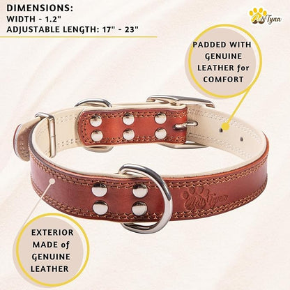 ADITYNA Heavy-Duty Leather Dog Collar for Large Dogs - Soft Padded for Comfort - Large Dog Collar for Walking, Training, and Hiking