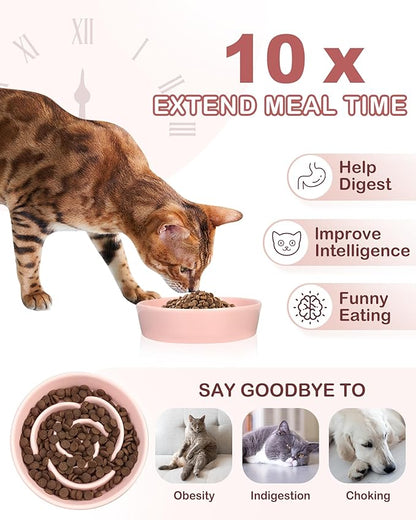 TRUVIC Ceramic Slow Feeder Dog Bowls Small Breed, 0.6 Cup Slow Feeder Cat Bowls for Fast Eaters, Ceramic Dog Food Dish no Black Chin, Puzzle Bowl for Small Dogs and Cats, Pink