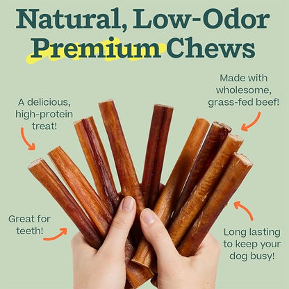 WOOF Bully Sticks Dog Treats - Chew Sticks for Dogs - Long-Lasting Dog Chew Treats - Made with Free-Range, Grass-Fed Beef - 12" Sticks - 5pk