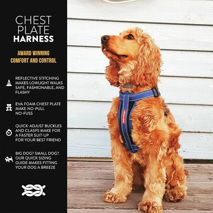 EzyDog Chest Plate No Pull Dog Harness – Escape Proof Harness with Reflective Stitching and Comfort Padding for Easy Walks, Training & Control - Car Restraint Included (Large, Blue)