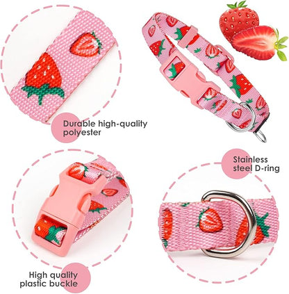 azuza Dog Collar and Leash Set, Cute Strawberry Patterns on Pink Nylon Collar and Matching Leash, Great Option for Extra Small Dogs