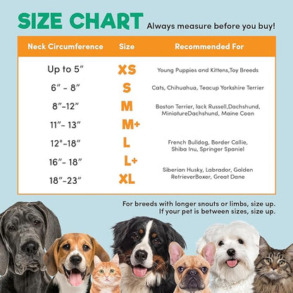 BENCMATE Inflatable Dog Cone Collar Alternative, Soft Dog Cone for Small Medium Large Dogs and Cats, Neck Recovery ECollar Donut Collar After Surgery (Medium, HeartShape)
