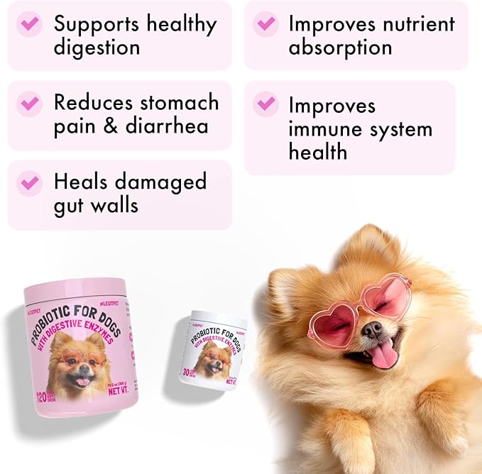 Probiotics for Dogs Natural Digestive Enzymes Prebiotics for Allergy Itch Relief Gut Flora Coprophagia Bowel Support Treatment Anti Diarrhea for Dogs Pet Health Immune System Support 30 Soft Chews