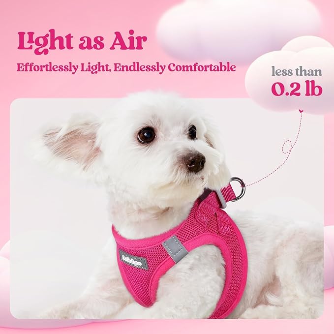rabbitgoo Dog Harness Small Sized and Leash Set, Step in Soft Light Puppy Vest, Breathable Mesh Pet Harness, Reflective for Safe Easy Walking, Rose Red S