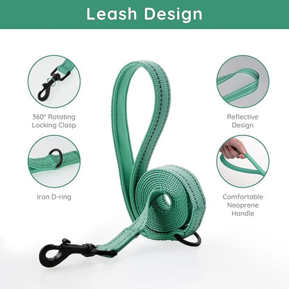 BELLA & PAL Small Emerald Dog Harness with Leash Set, No Pull, Step in Design, Reflective, Lightweight Mesh, S