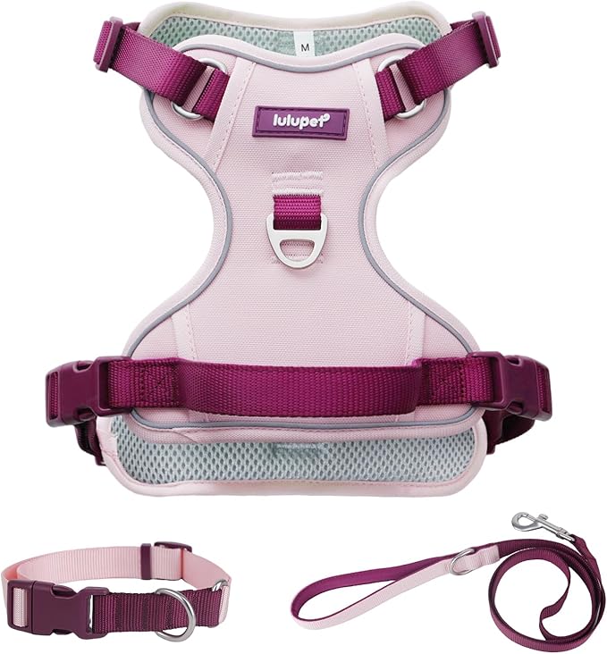 No Pull Dog Harness Leash and Collar Set, Soft Adjustable Dogs Vest Reflective and Comfortable Handle Pink Small