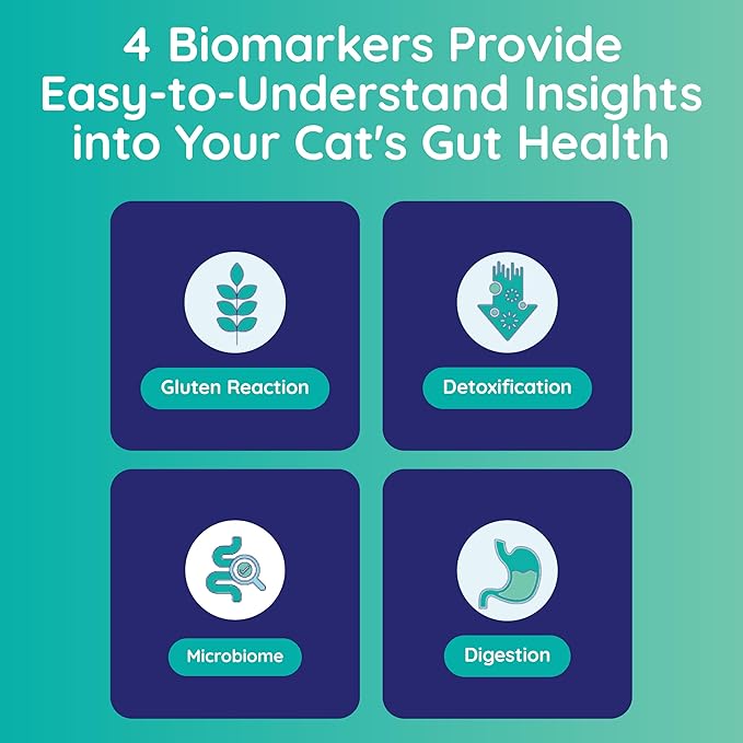 Innovative Pet Lab Comprehensive Gut Health Test Kit for Cats - at-Home Cat Stool Test for Immune & Gluten Sensitivity Symptoms Like Diarrhea, Vomiting, Itchy Skin - Easy Non-Invasive Testing Kit