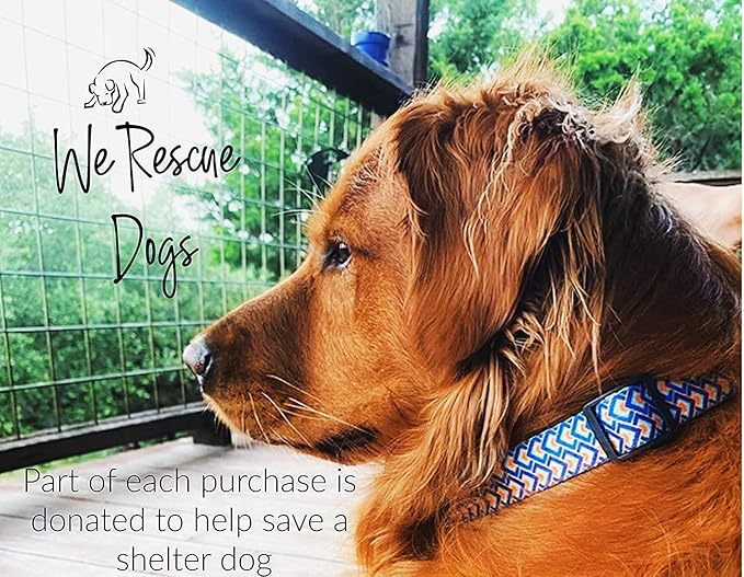 Lucky Love Dog Leash – Soft, Durable, and Comfortable Leash with Vibrant Patterns – Stylish and Long Lasting for Small Male and Female Dogs – Murphy, Small