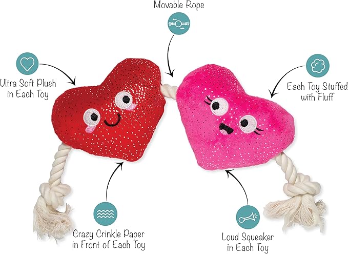 Fringe Studio Plush Dog Toy with Rope, CAN’T BE AP-Heart, Petshop Collection (314494)