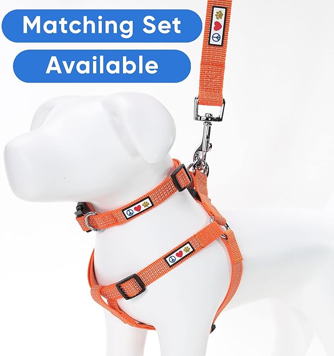 Pawtitas Orange Dog Leash 6 ft M/L Reflective Durable Lightweight Dog Lead for Medium or Large Dogs and Puppies