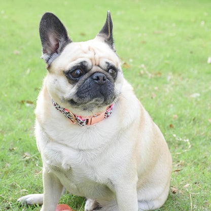 Metal Buckle Dog Collar, Durable Adjustable Dog Collar Soft for Small Medium Large Dogs (M(13-18in), Pink Leopard)