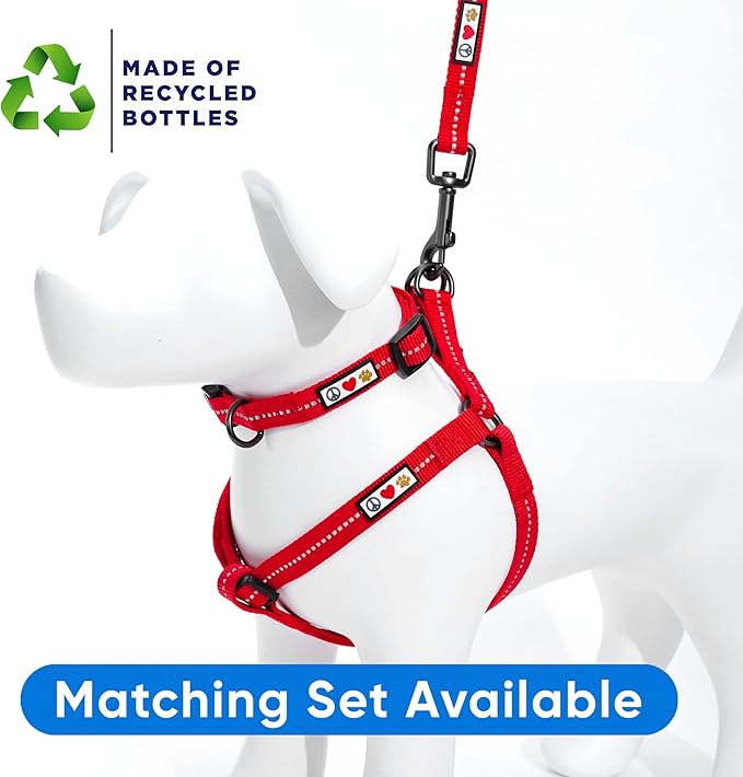 Pawtitas Red Dog Leash 6 ft XS/S Reflective Durable Lightweight Recycled Lead for Small Dogs and Puppies