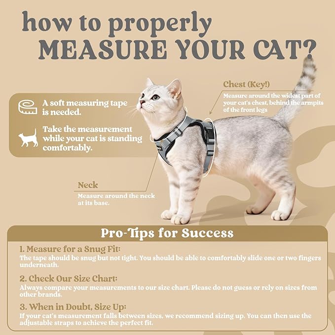 rabbitgoo Cat Harness and Leash for Walking, Escape Proof Soft Adjustable Vest Harnesses for Cats, Easy Control Breathable Reflective Strips Jacket, Grey, S