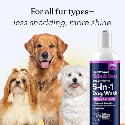 Honest Paws Dog Shampoo and Conditioner - Premium Dog Wash for Allergies and Dry, Itchy, Moisturizing for Sensitive Skin - Sulfate Free, Plant Based, All Natural - Oatmeal & Lavender - 16 Fl Oz