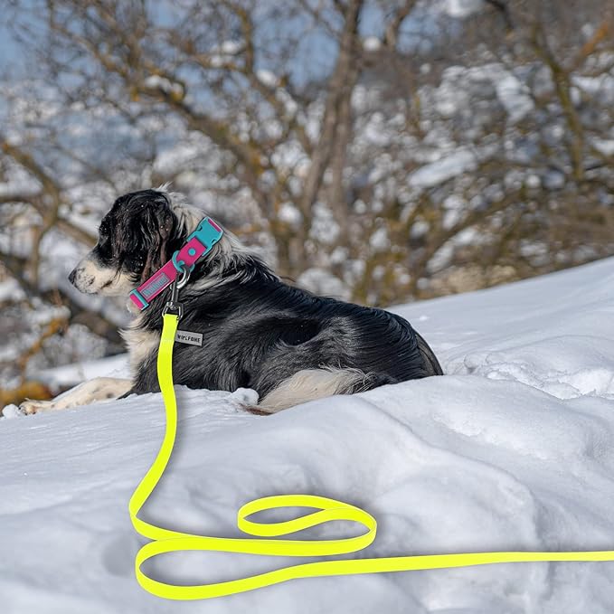 Wolfone 10ft Yellow Long Leash - Waterproof Training Dog Leash for Recall, Swimming, Camping, Beach, Hunting, Walking