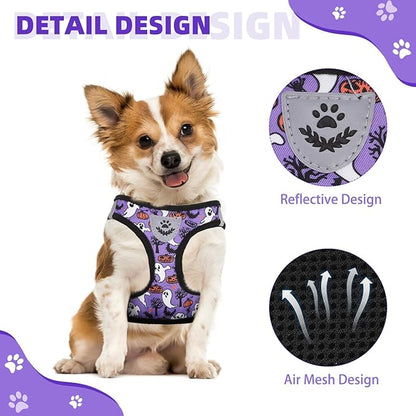 KOOLTAIL Halloween Dog Harness and Leash Set for Small Medium Dogs, Step in No Pull Soft Mesh Harness Comfort Padded Pet Vest, Adjustable Reflective Easy Walking Puppy Cats Harness Training, Ghost S