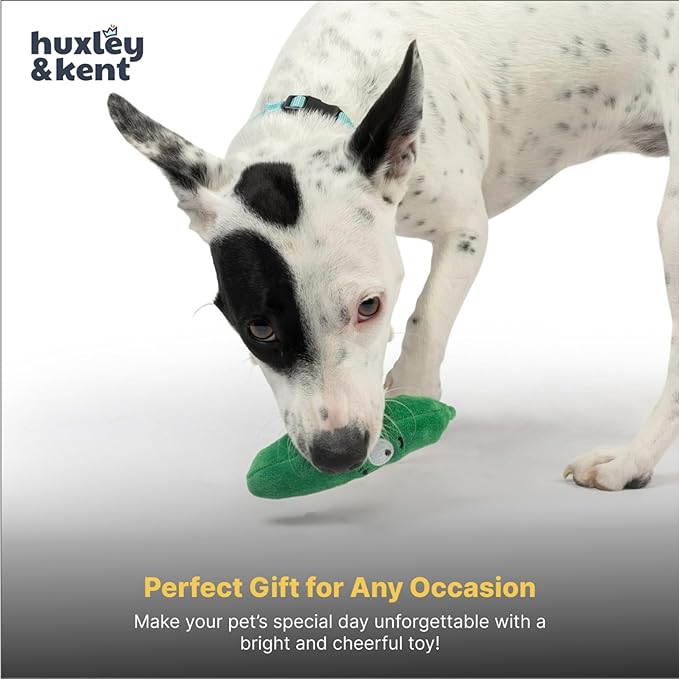 Huxley & Kent Funny Dog Toy w/Squeaker – Power Plush Squeaky Dog Toys for Small Dogs – Durable Small Stuffed Animal for Indoor Play & Fetch - Tiny Tuff Dell Pickle