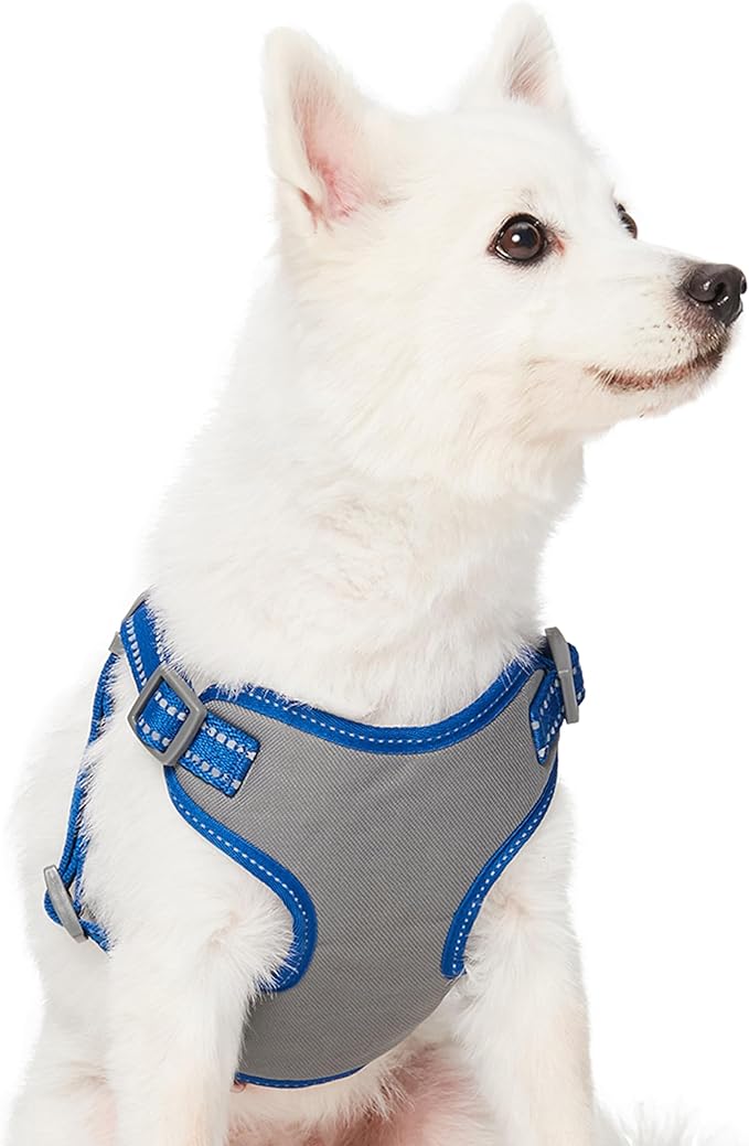 Blueberry Pet Pastel Colored Reflective Dog Harness with Seatbelt Clip – Adjustable No-Pull Pet Vest for Walking and Car Safety, Medium Size in Navy Blue