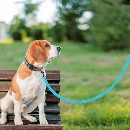 PUPTECK Reflective Dog Leash with Comfortable Padded Handle Durable Nylon Dog Lead for Small Medium and Large Dogs Cats Walking Running Training Outside, Teal, M
