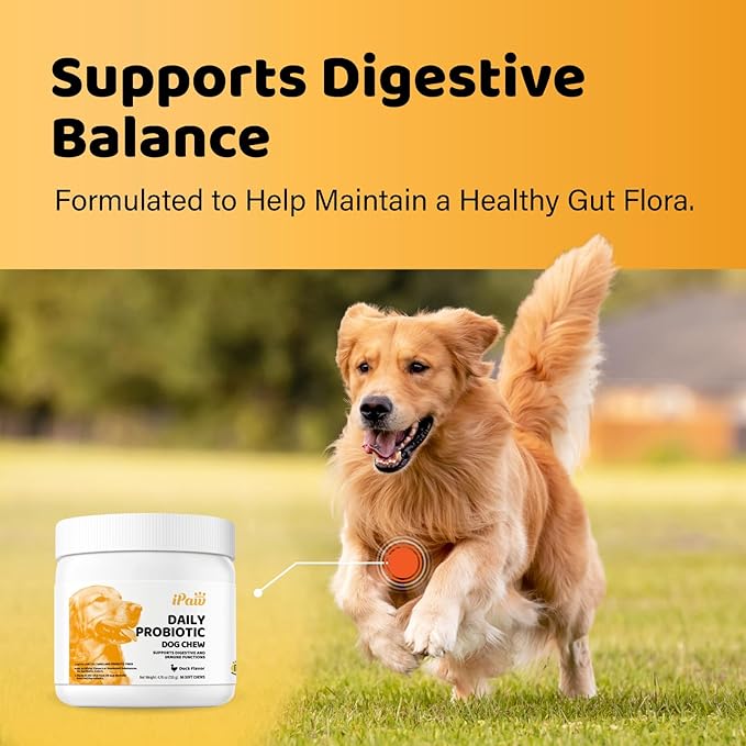 iPaw Daily Probiotic Chews for Dogs, 120 Million CFU, Probiotics Treat for Dogs' Digestive Health, Gut Health, Support Immune System, Made in USA, Duck Flavor (90 Chews)