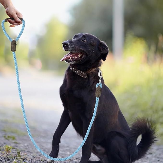 Mile High Life Dog Leash, Braided Cotton Rope Leashes with Leather Handle - Heavy Duty Metal Clasp, 4FT, 1/2" Thick - Wedding, Walking & Training Leash for Small Medium Large Dogs (Sky Blue)