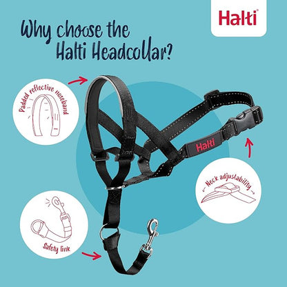 Halti Headcollar - Stop Your Dog Pulling on the Leash. Adjustable, Reflective and Lightweight, with Padded Nose Band. Dog Training Anti-Pull Collar for Medium Dogs (Size 3, Black)
