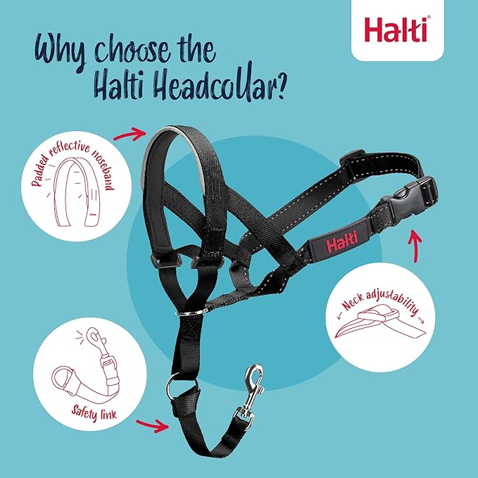 Halti Headcollar - Stop Your Dog Pulling on the Leash. Adjustable, Reflective and Lightweight, with Padded Nose Band. Dog Training Anti-Pull Collar for Large Dogs (Size 4, Black)