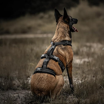 OneTigris Dog Harness No Pull, Adjustable Tactical Harness with Soft Padding, Y-Shaped Reflective Easy Walk Dog Harness for Medium and Large Dogs