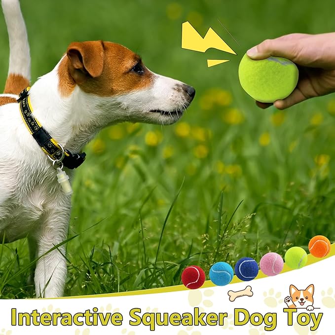 Swingers Squeaky Tennis Balls for Dogs,2.5 inch Training Tennis Balls,Exercise Ball for Pet Dog with Mesh Carry Bag Easy to Transport (Multicolor, 6 Pack)