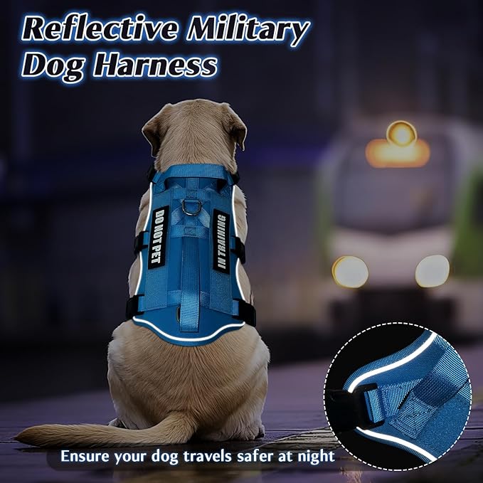 WINSEE Escape Proof Dog Harness, Service Working Molle Harness with Double Handle, Tactical Pet Vest with 4 Patches for Small Medium Large Dogs Walking Hiking Hunting