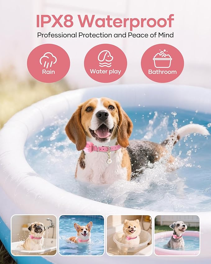 Jugbow Dog Training Collar - 4200FT Remote Dog Collar with 3 Training Modes for Small Dogs with Pet ID Tag & Security Lock, IPX8-Waterproof Rechargeable E-Collar for Mini Small Medium Dogs (Pro Pink)
