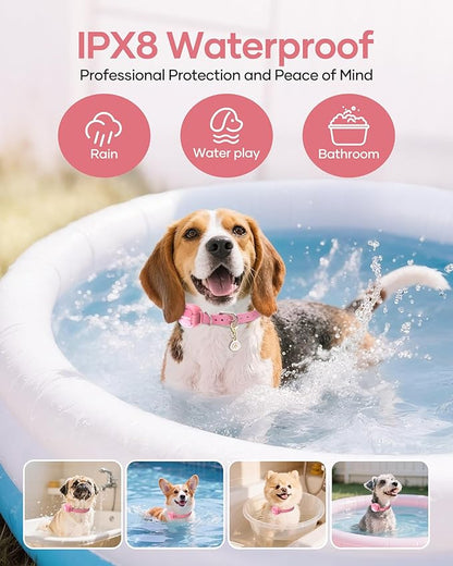 Jugbow Dog Training Collar - 4200FT Remote Dog Collar with 3 Training Modes for Small Dogs with Pet ID Tag & Security Lock, IPX8-Waterproof Rechargeable E-Collar for Mini Small Medium Dogs (Pro Pink)