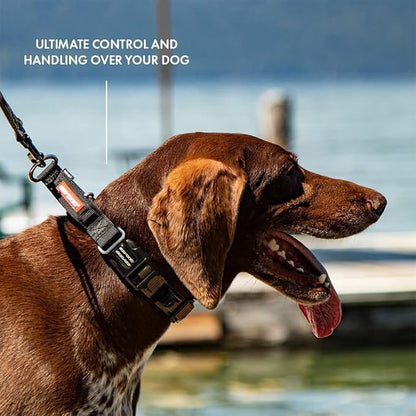 EzyDog Checkmate Martingale Collar for Dogs – Premium Nylon Training Dog Collar for Easy Control with no Choking (Small, Black)