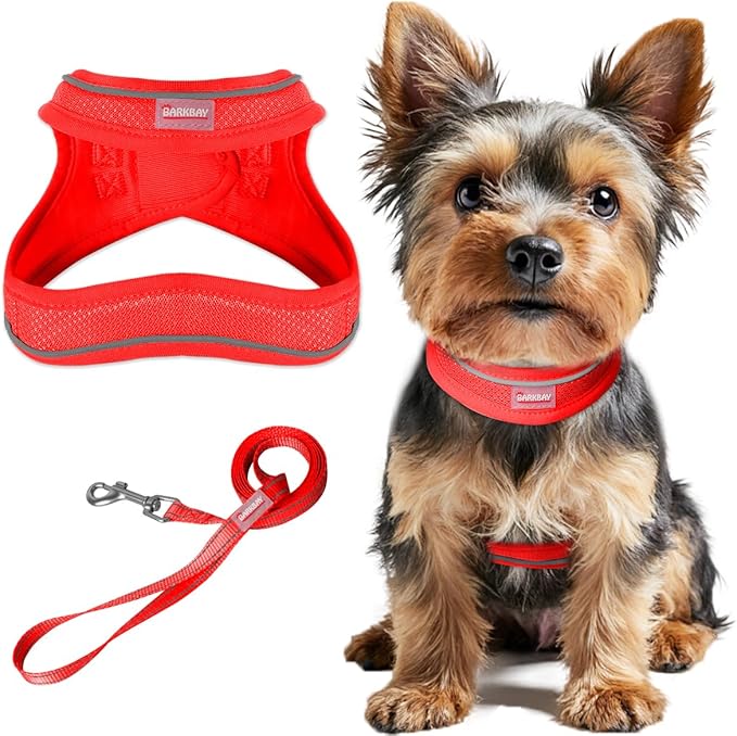 Dog Harness and Leash Set,Step in Small Sized Dog Harness,Soft Mesh,No-Chock,Reflective Adjustable,Secure with Hook & Loop Fastener,Puppy Vest for Small,Medium Dogs(Red,S)