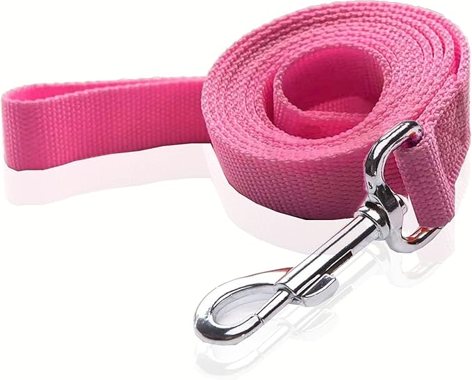 Nylon Dog Leash 10 Feet Long, Walking Training Dog Leashes for Medium Large Dogs, 1 Inch Wide (Pink)