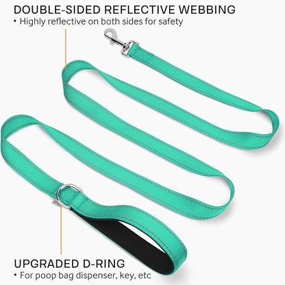 Joytale Double-Sided Reflective Dog Leash, 6 FT/5 FT/4 FT, Padded Handle Nylon Heavy Duty Leashes for Small & Medium Dogs Walking, Teal, 6FT