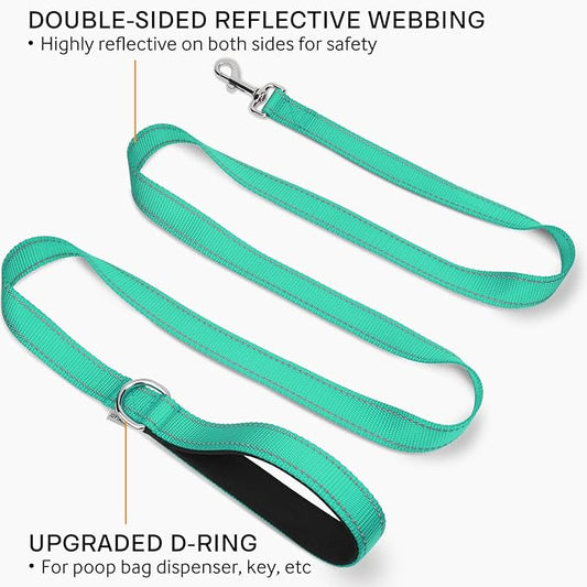 Joytale Double-Sided Reflective Dog Leash, 6 FT/5 FT/4 FT, Padded Handle Nylon Heavy Duty Leashes for Small & Medium Dogs Walking, Teal, 6FT