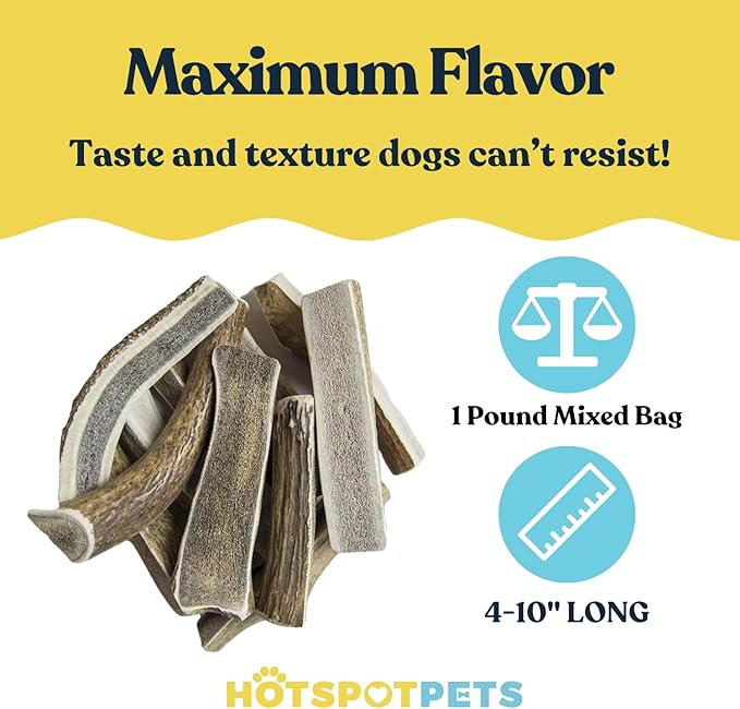Split Elk Antlers for Dogs - 4-10 Inch Long Dog Chews (1LB Bag) Naturally Shed Antler Bone for Large Breed Aggressive Chewers - Made in USA No Chemicals (1 Pound - 5-6 Pieces, Sizes May Vary)