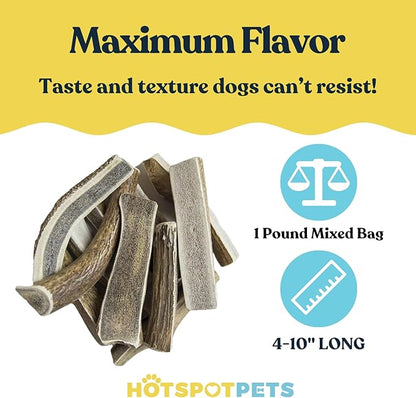 Split Elk Antlers for Dogs - 4-10 Inch Long Dog Chews (1LB Bag) Naturally Shed Antler Bone for Large Breed Aggressive Chewers - Made in USA No Chemicals (1 Pound - 5-6 Pieces, Sizes May Vary)